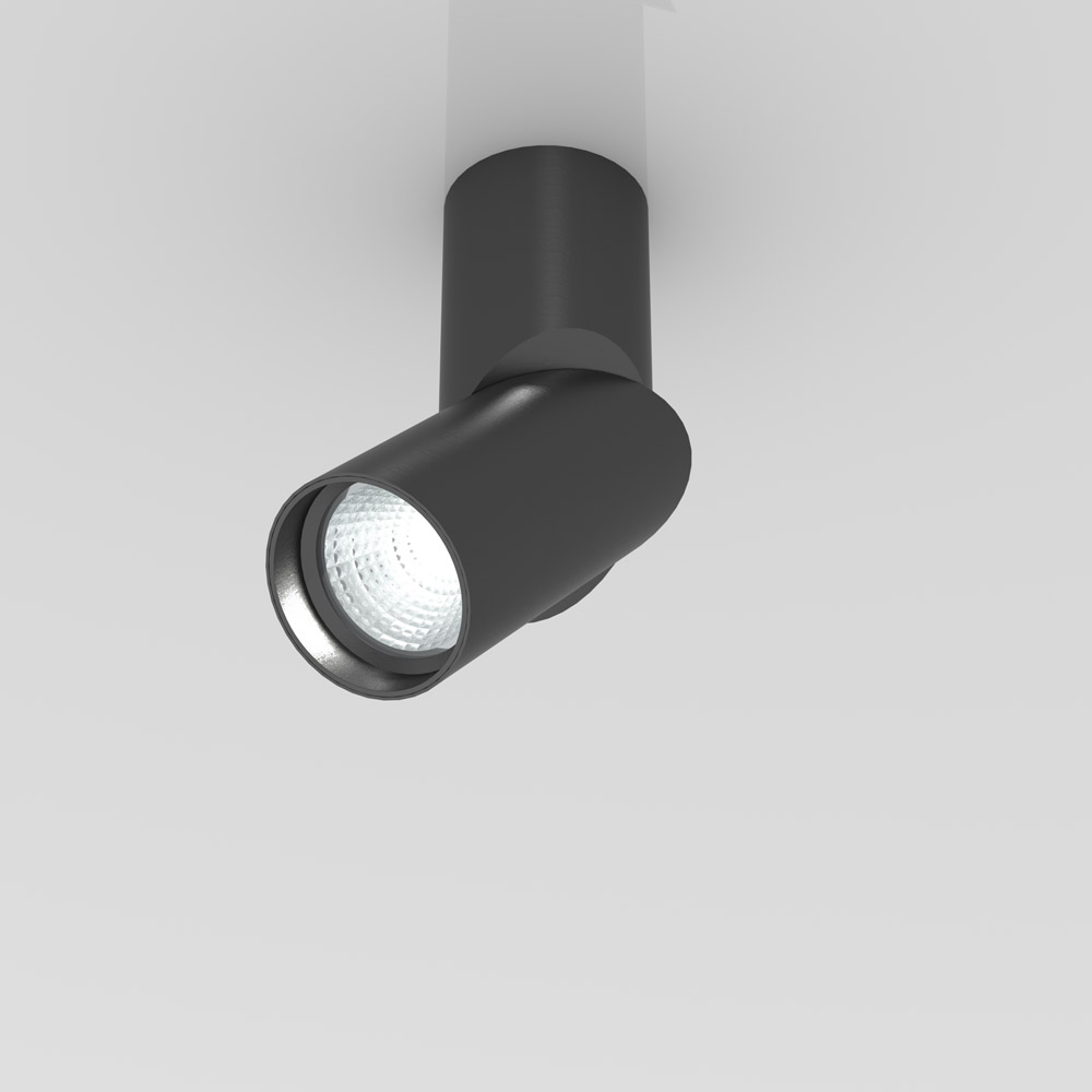 Can 75 Swivel