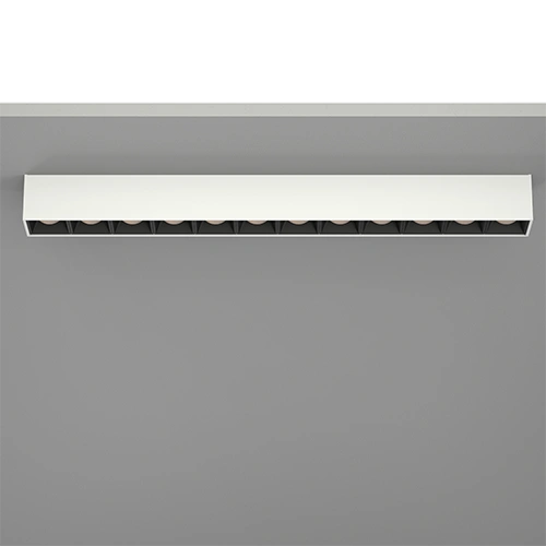 Mini Multi Surface 12